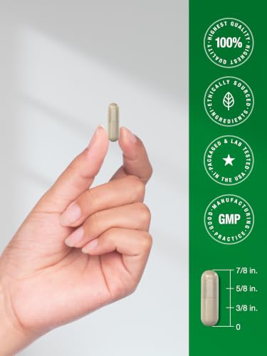 Horbäach Ashwagandha Supplement | Max Strength | 120 Capsules