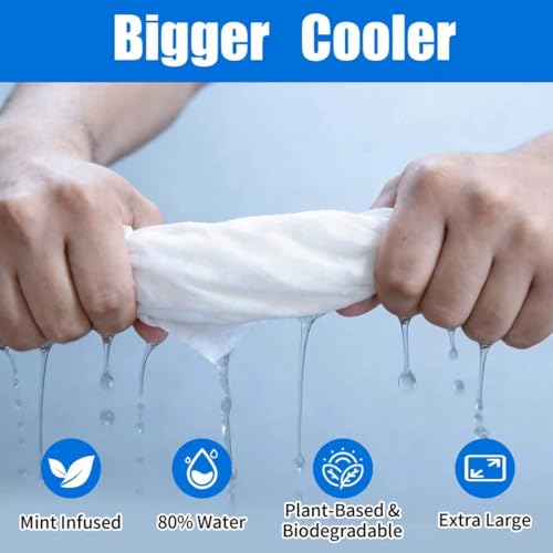30 Pack Disposable Cooling Wipes, Individually Wrapped No-Rinse Cooling Towels, (25''x 9.84'') Extra-Thick Oversized Ice Towel for Sports, Travel, and Camping in Hot Weather (White)