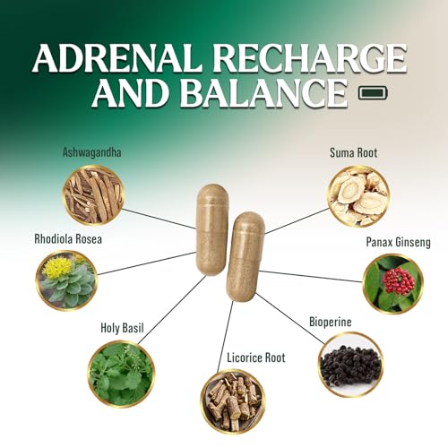 Böbrek Üstü Bezi Destek Takviyesi - Enerji, Yorgunluk, Sakinlik, Rahatlama ve Bağışıklık Desteği için Gelişmiş Korteks Kompleksi - Doğal Ashwagandha, Rhodiola ve Kutsal Fesleğen, ABD'de Şişelenmiştir - 120 Kapsül