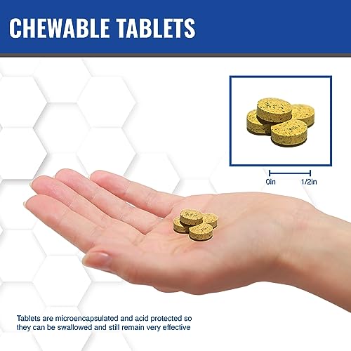 MAAC10 NADH + CoQ10 Chewable Tablets, 60 Count
