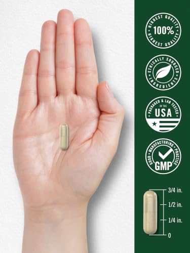 Carlyle Red Clover Capsules | 200 Count | Trifolium Pratense
