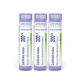 Boiron Lachesis Mutus 200ck Homeopathic Medicine for Hot Flashes Associated With Menopause - Pack of 3 (240 Pellets) | Single-medicine homeopathic pellets for Hot Flashes Associated With Menopause. Size: Pack of 3 (240 Pellets).