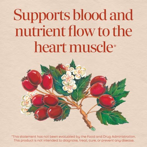 Nature's Way HeartCare Hawthorn Standardized Extract, Daily Support,120 ct