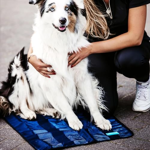 Back on Track Cool on Track Cooling Towel - Ultimate Heat Relief for People, Dogs and Horses During Workouts and Hot Summer Days, 30" x 21" (53x76cm)