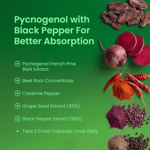 NutraChamps Pycnogenol French Maritime Pine Bark Extract, Premium Circulation Complex, Blood Flow, Nitric Oxide Production, Superior Absorption, Results with Black Pepper Extract, 60 Capsules