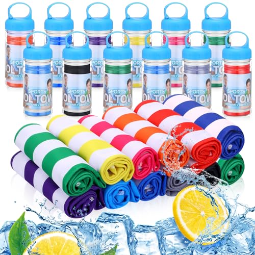 Hosuly 12 Pack 32 x 12 in Cooling Towels Bulk for Neck and Face Microfiber Ice Towel Sweat Towels Breathable Soft Chilly Towel Portable Cool Neck Rags for Sport Gym Workout