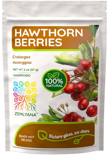 Hawthorn Berry Tea - Wildcrafted Whole Dried Hawthorn Berries, 2 oz