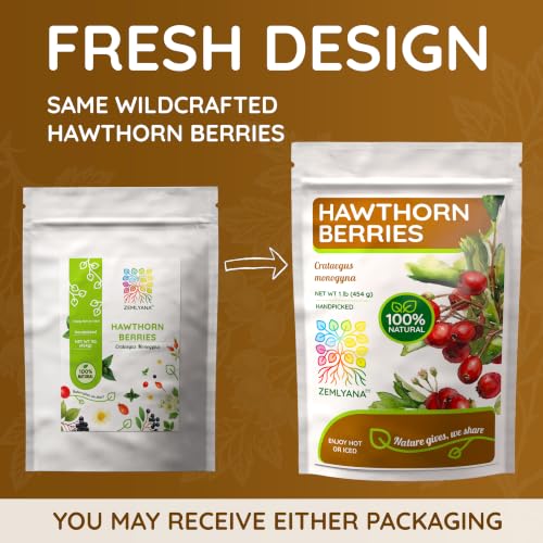 Hawthorn Berry Tea - Wildcrafted Whole Dried Hawthorn Berries, 2 oz
