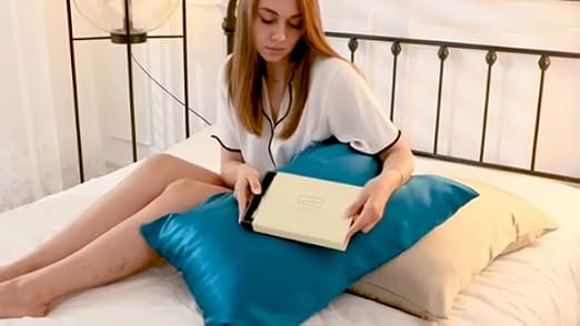 Mulberry Silk Pillowcase for Hair and Skin Standard Size 20"X 26" Pillow Case with Hidden Zipper Soft Breathable Smooth Cooling Silk Pillow Covers for Sleeping (Haze Blue,Standard,1Pcs)