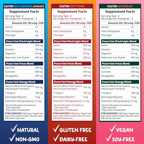 FocusFuel Enerji Sakızları - Çeşitli Numune Paketi (9 Porsiyon)
