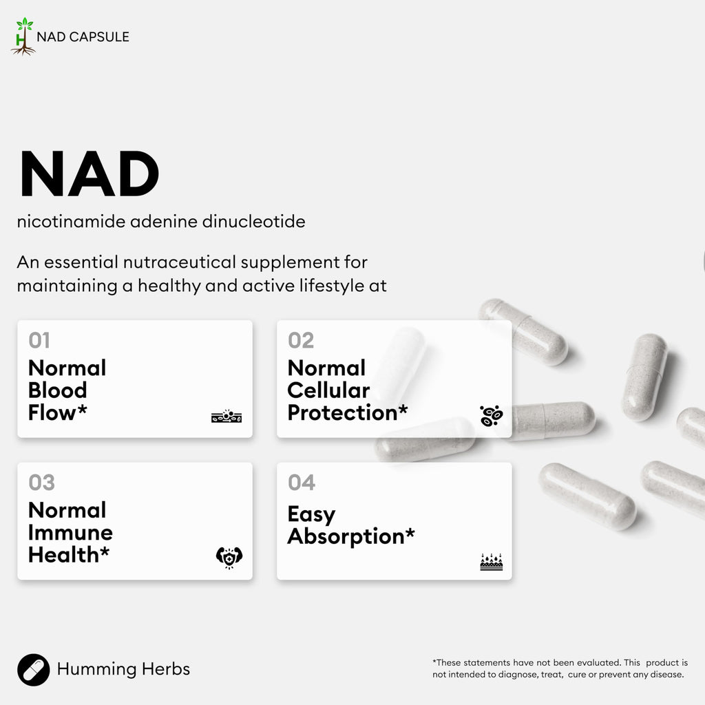 NAD+ 300mg + Resveratrol 300mg – 90 Vegan Kapsül – Yaşlanma Karşıtı