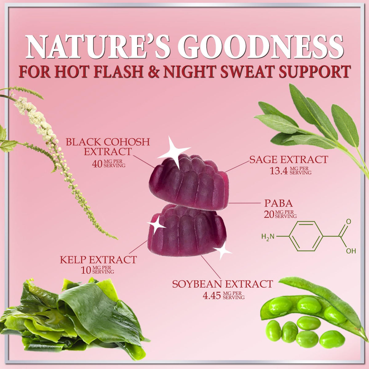 Menopause Supplements for Women - Complete Women's Menopause Relief Gummies with Black Cohosh for Natural Mild Hot Flashes & Night Sweats Support - Female Menopause Gummy Supplement - 60 Gummies