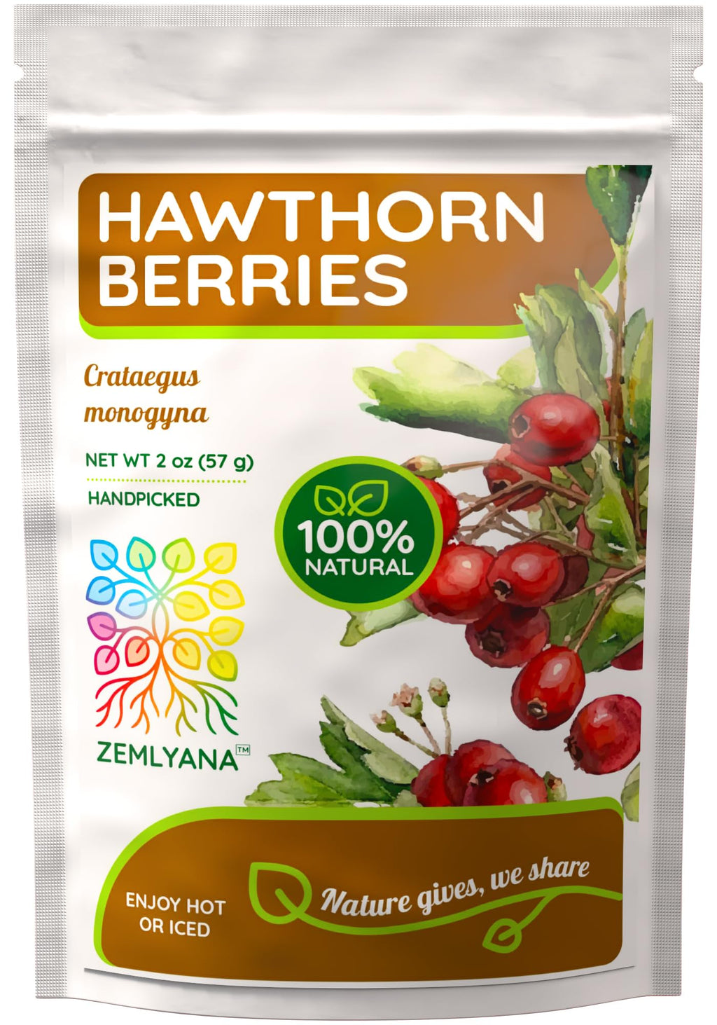 Hawthorn Berry Tea - Wildcrafted Whole Dried Hawthorn Berries, 2 oz
