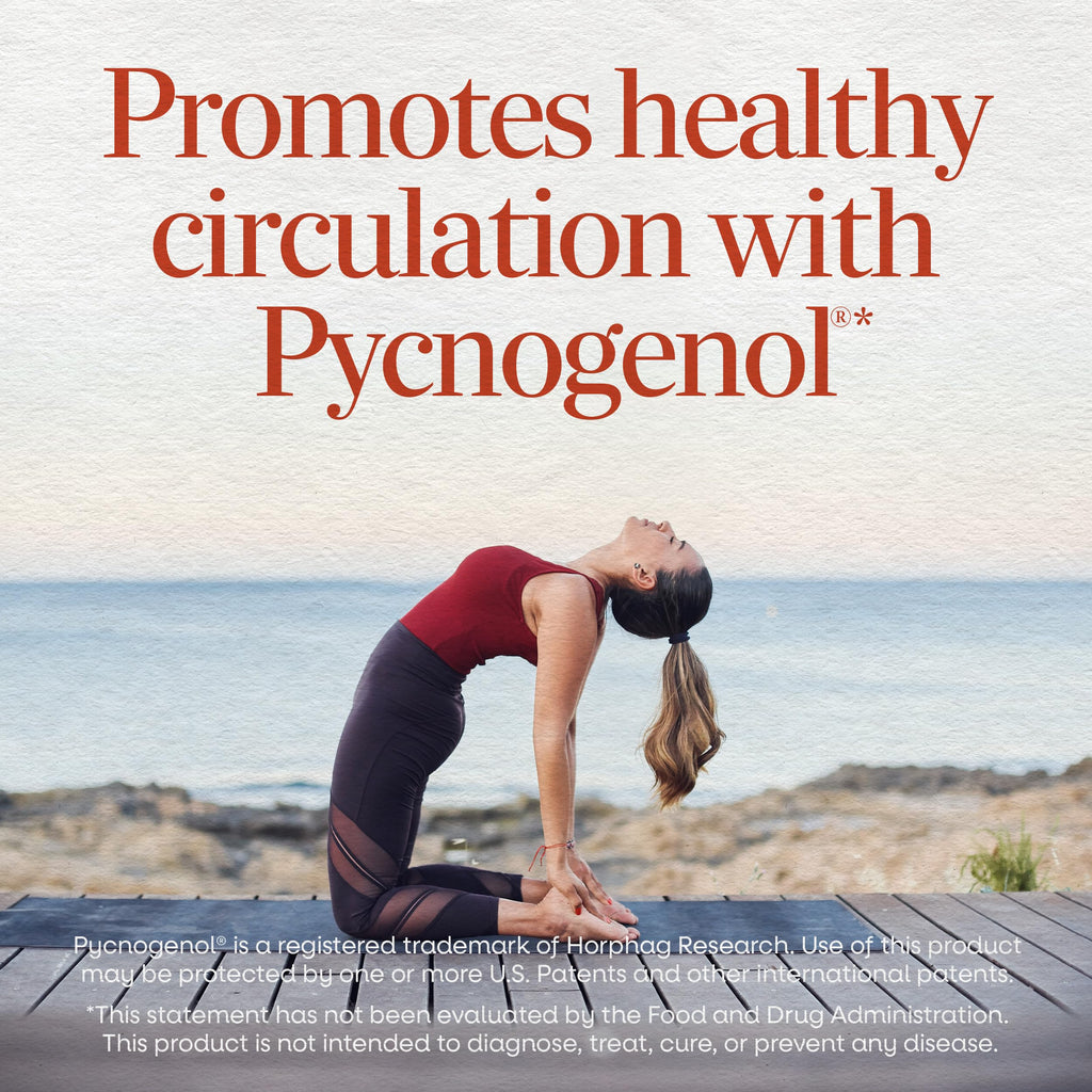 Nature's Way Pycnogenol Premium Blend, 50mg Circulation Support*, 30 ct